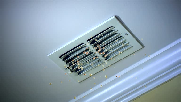 Best Commercial HVAC Duct Cleaning  in Nicholson, GA
